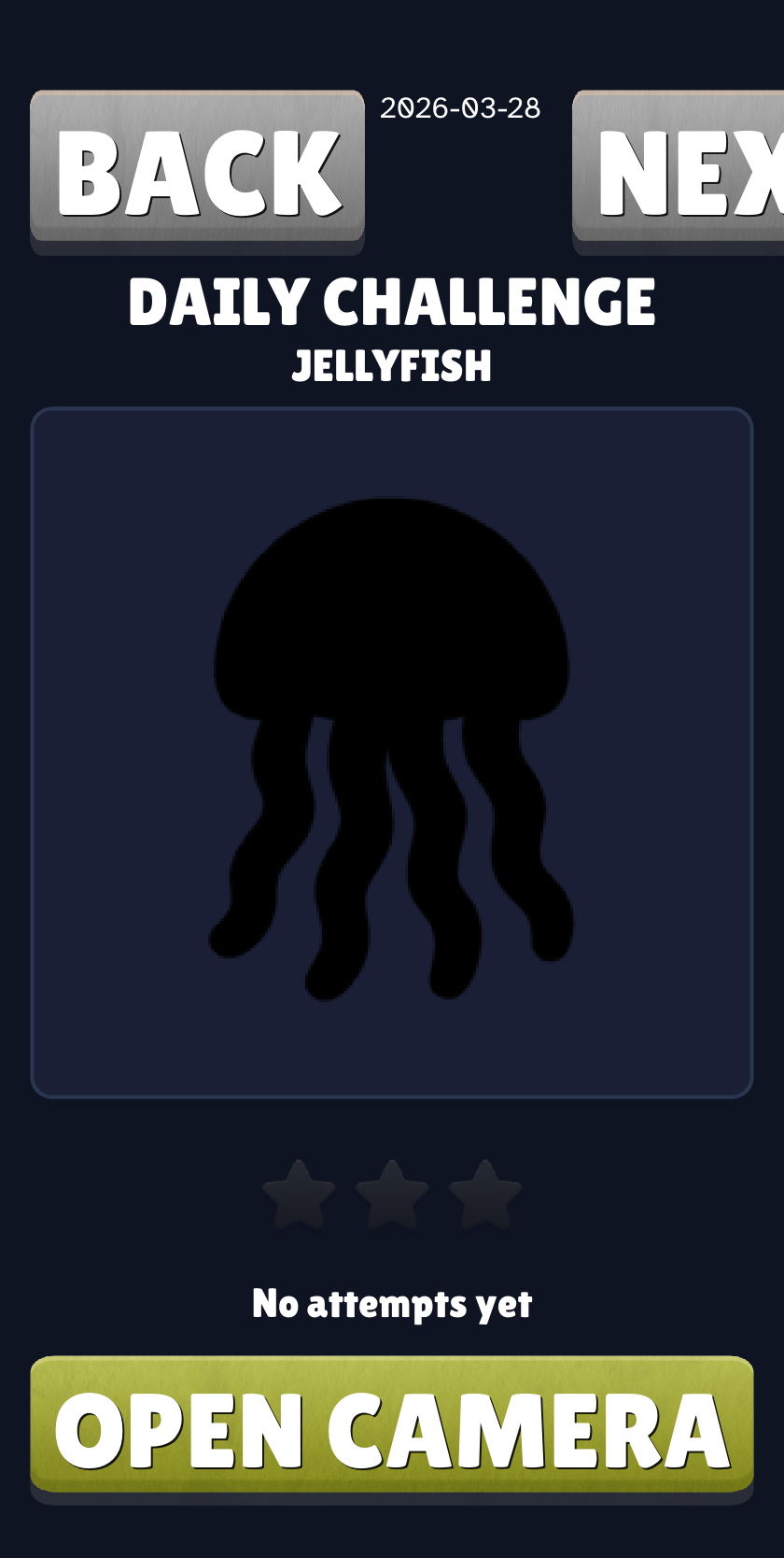 Daily IRL camera challenge